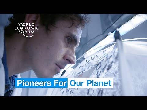 This London insect farm is changing the way we eat | Pioneers for Our Planet
