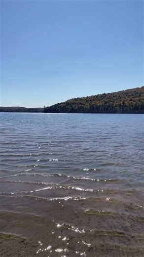 Pubic Beach at Rock Lake, Campground B. The view 🍁😍 #algonquinpark