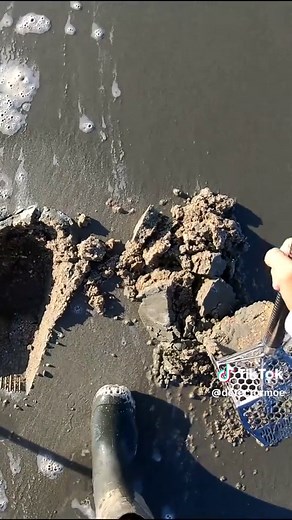 Metal Detecting for Treasure at the Beach