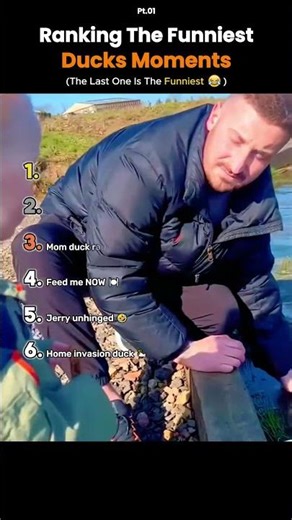 Ranking the Funniest Duck Moments 🦆😂