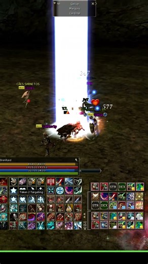 L2 AMERIKA H5 Shillien Knight (SK) #sk #shilienknight #pvp #lineage2highfive #mmorpg #siege #boss