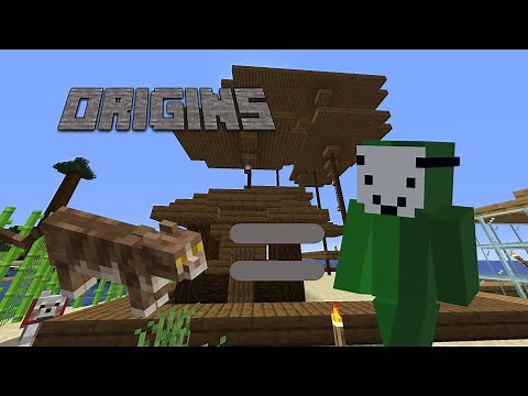 I become a cat in Minecraft Origins mod