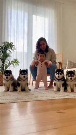 Baby vs Husky Howl Battle 😂🐺 | Cutest Sound Ever #Shorts