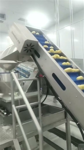 SEENICE Potato Processing Line: From Peeling to Packing