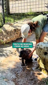 1.9M views · 59K reactions | They've got their hands full with him 鍊來 | Furry Tails | Facebook