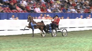 3.6K views · 57 reactions | World's grand champion Giselle has...