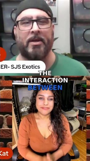 The Unique Nature of Tarantulas Explained!