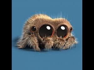 The Giant Enemy Spider ULTIMATE compilation