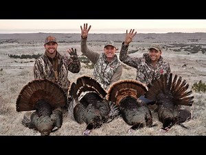 UNDER 36 - GRAND SLAM WORLD RECORD - 45hr Filmed Grand Slam