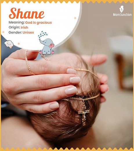 Shane Name, Meaning, Origin, History, And Popularity