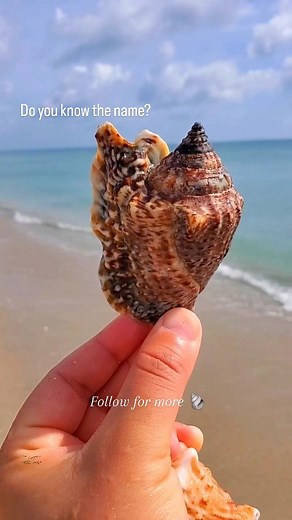 16K views · 29 reactions | Save & read below! ⬇️ . This is the first...