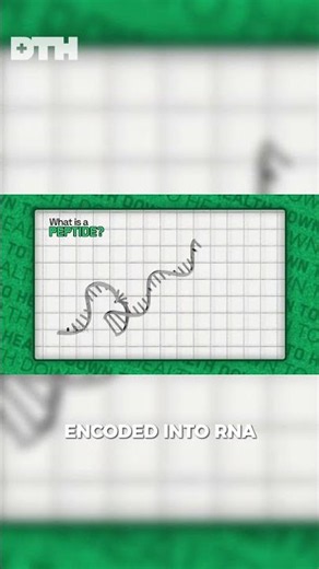 What is a Peptide? Biology 101 Explained! 🧬🤔