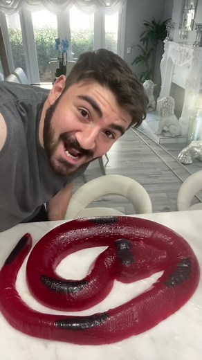 Day 1 sucking the worlds largest snake gummy | giant gummy worm