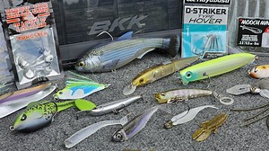 7.7K views · 273 reactions | Here are the "Best Of The Best" from...