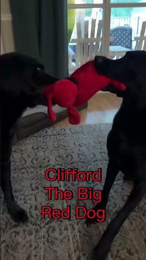 They LOVE their Clifford the Big Red Dog plush toy
