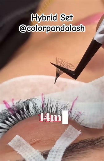 Hybrid Lash Set