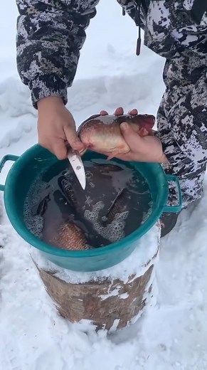 677K views · 10K reactions | Crucian carp soup | Pandasakha | Facebook