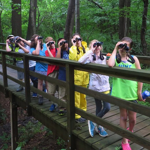 DelNature Summer Camps