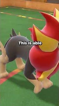 You've Never Seen Pyroar Do THIS