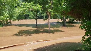 1.8K views · 11 reactions | The Cheat River is expected to Crest at 19.5 feet around 2 p.m. today. Crews are in the park removing anything that could be picked up and washed down the river. | Preston News and Journal | Facebook