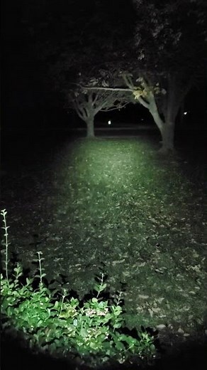 Surefire XC3 vs. Streamlight TLR7A