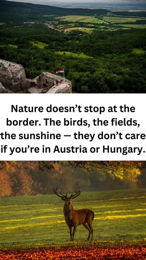 Hungary vs. Austria: Same Nature, Half the Price!