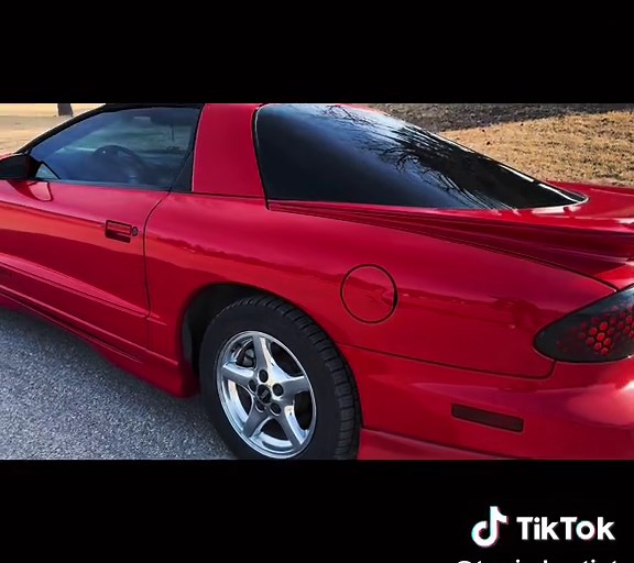 C2 Carbon Treatment for Pontiac Firebird by GeoShield