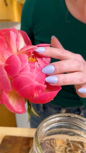 12K views · 56 reactions | Genius Flower Hacks! #flowers #florist | The Lauren Show | Facebook