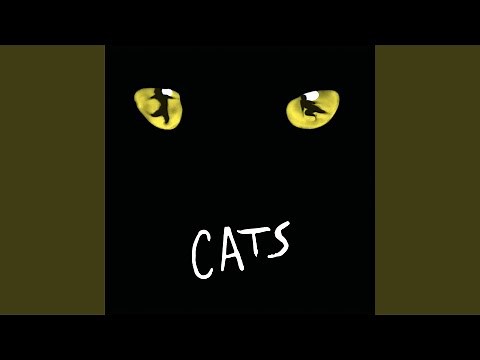 The Ad-Dressing of Cats