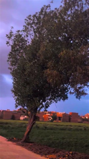 cloud and sunset vibes at same time #sunset #nature