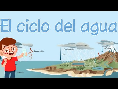 El ciclo del agua | Educación Primaria