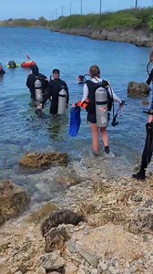 Just stopping to cool off 🥹 #mdaguam #guamsbestdiveshop #guam #scubadiving #whereamericasdivingbegins | Micronesian Divers Association