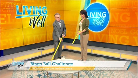 Bingo Ball Challenge