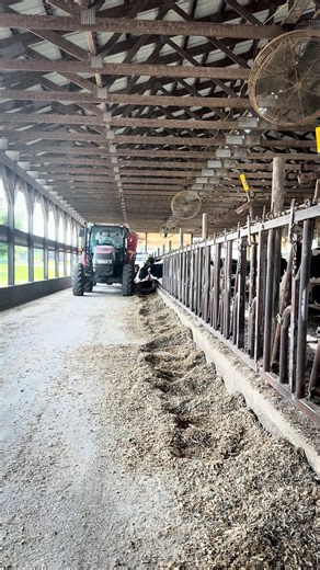 4.2K views · 40 reactions | It’s National Farm Safety Week! At Country Dairy, caring for our cows and our crew means putting safety first, from the barn to the fields. Here’s to safe habits that keep farms like ours thriving for generations to come.  | Country Dairy, Inc | Facebook