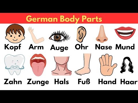Die Körperteile | Body parts | Der Körper | A1 | Master German Body Parts Vocabulary