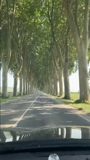 Marmande aujourd’hui