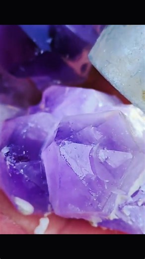 fy_crystal on TikTok