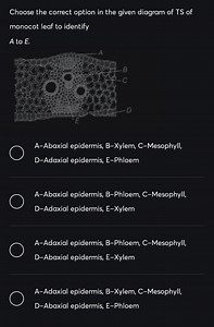 Choose the correct option in the given diagram of TS of monocot... | Filo