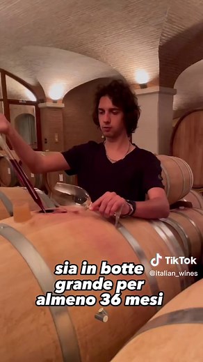 Produzione dell'Amarone - Processo di Elaborazione del Vino Italiano
