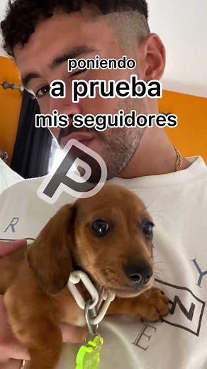 @diego._.on_top 🔝🔥 #benito🛐 #MakeMomEpic #badbunny #doritosflatlife #viral #fyppppppppppppppppppppppp #parati #poniendoapruebamisseguidores