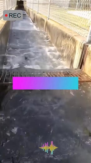 7.8K views · 42 reactions | Fish ladder #amazing #satisfying | AV | Facebook