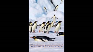 🌍 Celebrating Antarctica Day | 1 December Today marks Antarctica Day, celebrating the signing of the Antarctic Treaty (1959), a global pledge to protect a continent dedicated to peace, science, and international cooperation. At Cool Tech Solutions Ltd, this day reminds us that shifting our values is essential to building a kinder, greener world. Antarctica, home to no permanent human population, yet over 300 animal species and 800 plant species, shows us what is at stake when we talk about plan