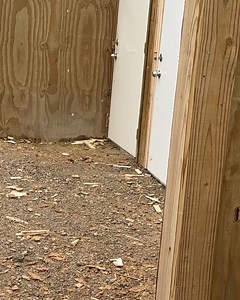 Tactical Energetic Entry Systems, LLC. on Reels | Facebook