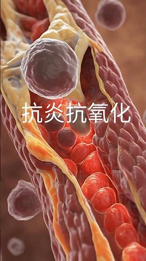 亚精胺(Spermidine) 的作用