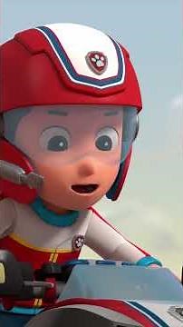 Kilpa kohti mesan huippua! | #pawpatrol #ryhmähau