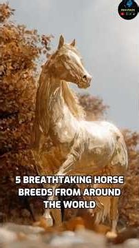 5 Breathtaking Horse Breeds From Around the World #facts #horse
