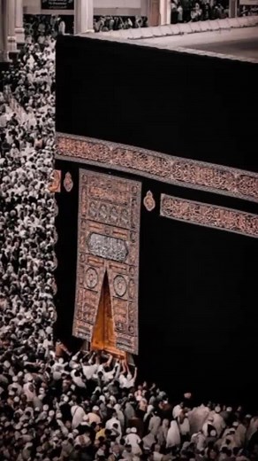 ALI RAZA SABIR (@ali5790230)’s videos with original sound - Awad Laptop U.A.E