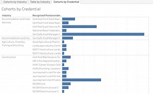 2024-2025 Planned IETs and IELCEs by Industry