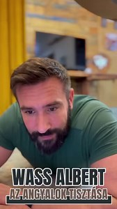 Bak Varázsigék💫 Wass Albert: Az angyalok tisztása #vers #kultúra #művészet #sorsfordító #lélekiskolázás #varázslat | Csórics Balázs