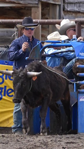 Sorry Clay, I promised your grandma I’d post more of your runs! 😂❤️ #steerwrestling @clayguthrie12 Hoover Hays Memorial Jackpot — 🤠 COWBOYS & CONTRACTORS: Tag yourselves or DM for credit — pinned comment goes to you. 💬 Conversation encouraged! 🚫 Leave a dick comment? Blocked faster than an open gate. Thx. 🐎 No animals harmed. All riders and livestock are professionals. 📌 Do not repost without explicit credit. 🎥 Captured, not generated. Shot on location, not in a server farm. #rodeo #rodeo